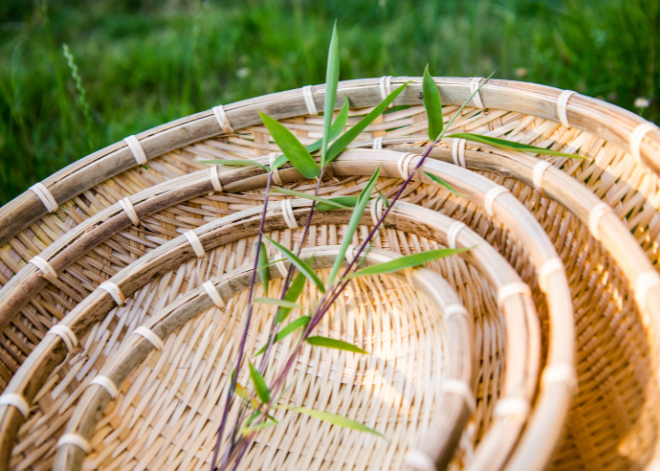 media/image/masawi-bamboo-Banner-klein-660-x-471-px.png